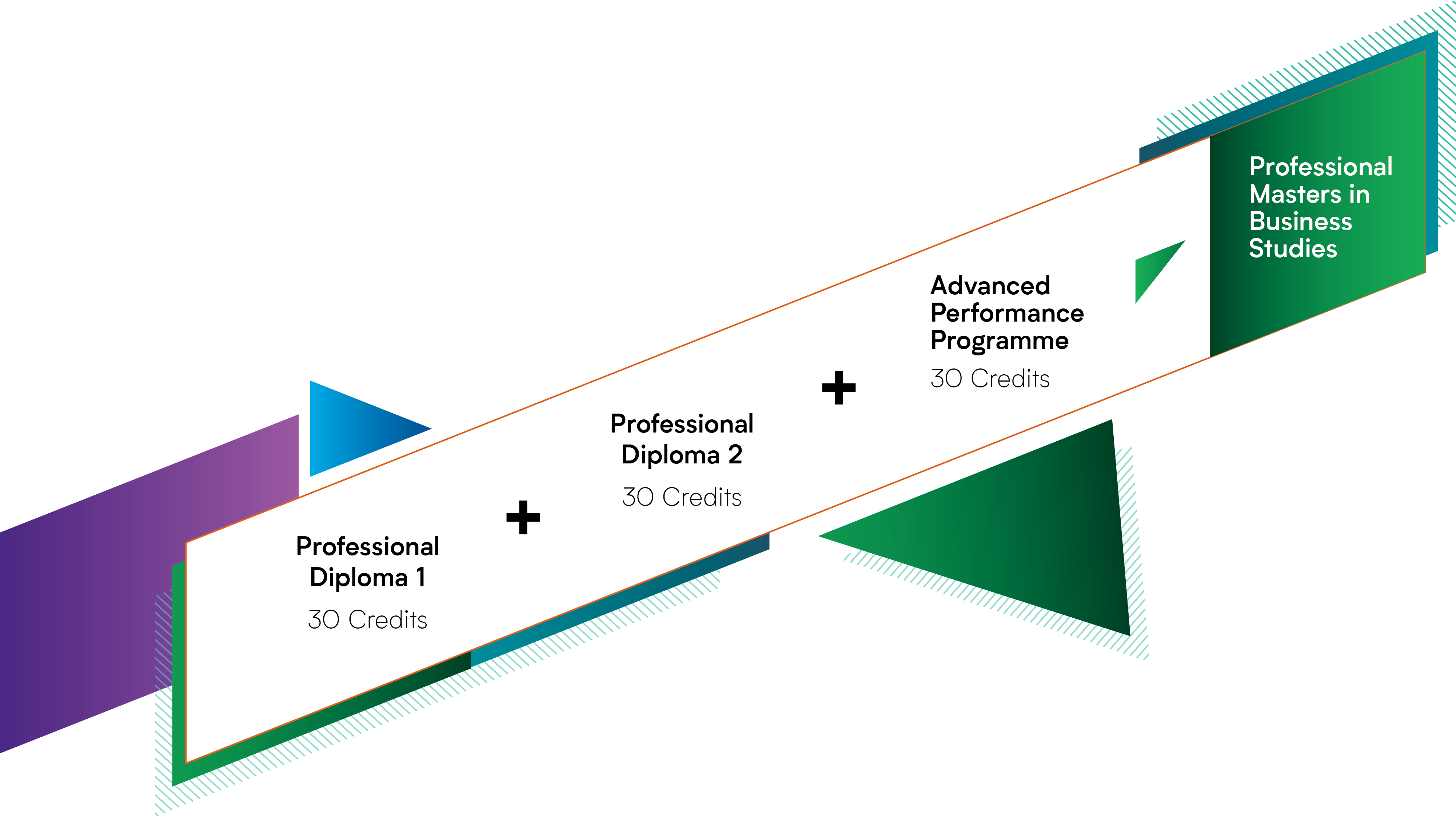 Master of Business Framework Pathway