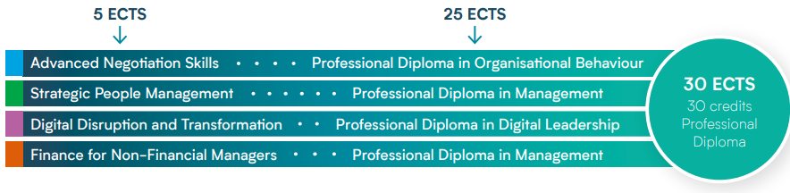 Professional Diploma Pathway