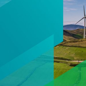 Leading and Shaping Sustainability into the Future
