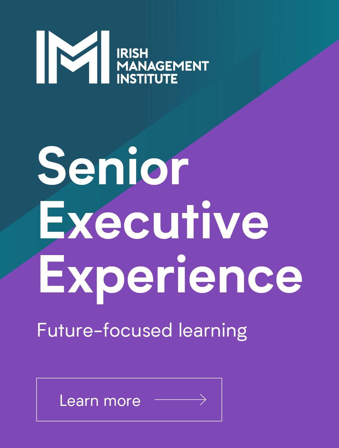 https://www.imi.ie/wp-content/uploads/2023/06/XDS11671-IMI-Senior-Executive-Experience-Landscape-V15-HP_1-e1751712330572.jpg
